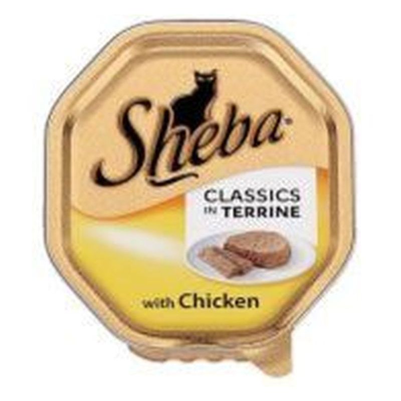 100g Terrine With Chicken Sheba